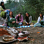 santo daime ceu do vale