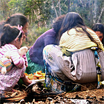 santo daime ceu do vale