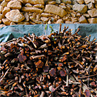 santo daime ceu do vale