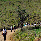 santo daime ceu do vale